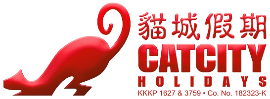 Cat City Holidays